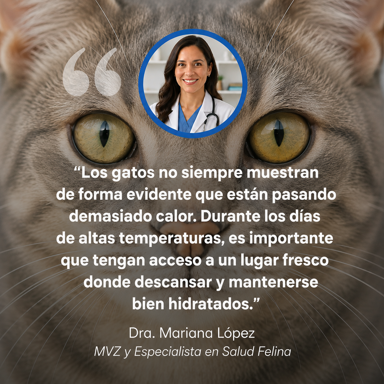Tapete Refrescante Nuvapet